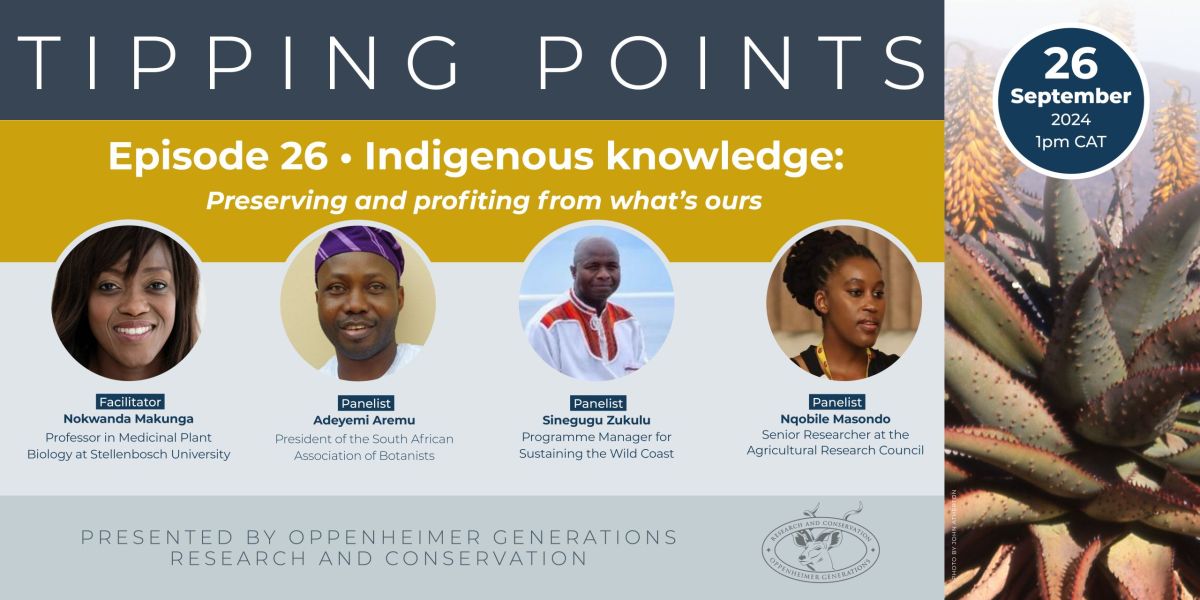 indigenous-knowledge-systems-preserving-and-profiting-from-whats-ours-2